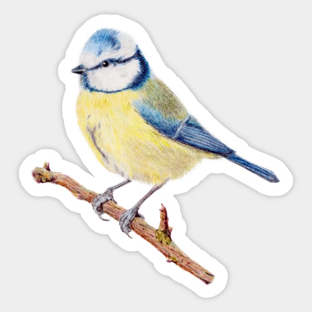 Blue Tit Sticker by CasmahCreations